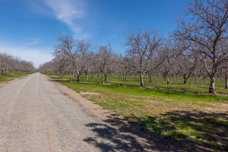 Winters, California Waterfront & Orchard For Sale - image 38