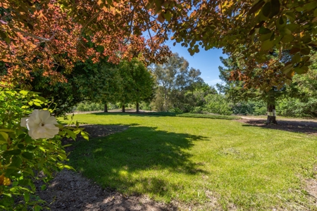 Winters, California Waterfront & Orchard For Sale - image 31