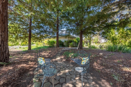 Winters, California Waterfront & Orchard For Sale - image 34