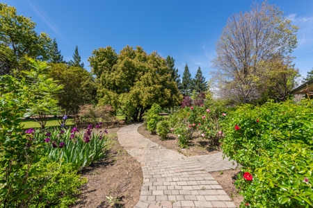 Winters, California Waterfront & Orchard For Sale - image 29