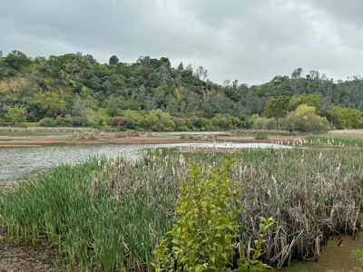 Winters, California Waterfront & Orchard For Sale - image 2