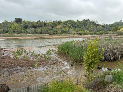 Winters, California Waterfront & Orchard For Sale - image 36