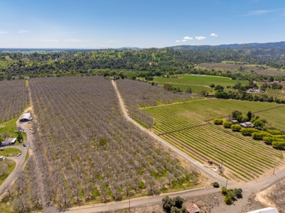 Winters, California Waterfront & Orchard For Sale - image 46