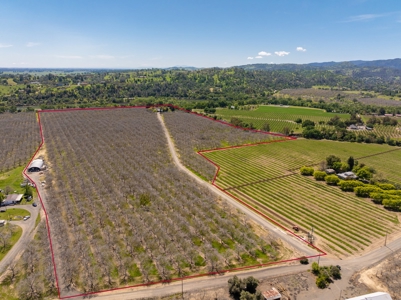 Winters, California Waterfront & Orchard For Sale - image 1
