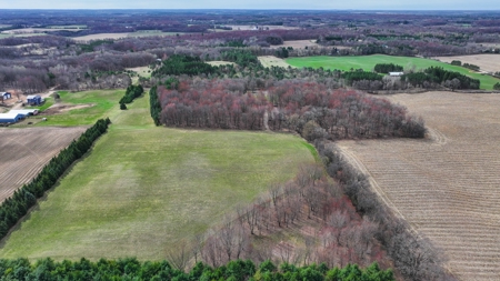 Country Home For Sale in Custer, WI - image 40