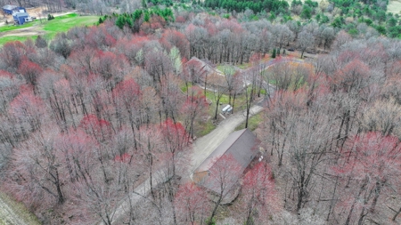 Country Home For Sale in Custer, WI - image 42