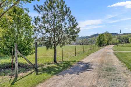 Land for Sale in Lewis County, Tennessee - image 21