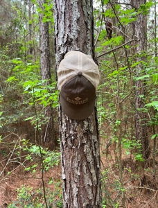 Jackson Parish Timber Tract 6-11 - image 15
