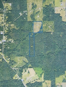 Jackson Parish Timber Tract 6-11 - image 1