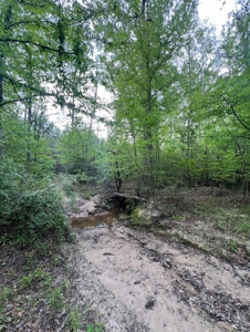 Jackson Parish Timber Tract 6-11 - image 13