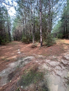 Jackson Parish Timber Tract 6-11 - image 21