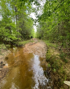 Jackson Parish Timber Tract 6-11 - image 11