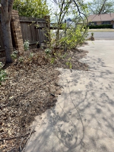5 BR 4 Bath Home For Sale Fort Stockton Texas - image 5