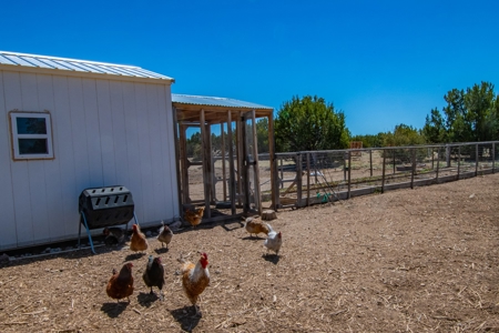 Horse / Cattle Ranch for Sale w/ Private Well in Seligman AZ - image 29