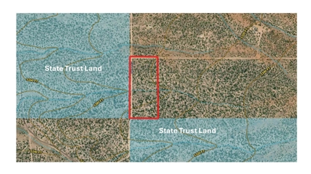 Horse / Cattle Ranch for Sale w/ Private Well in Seligman AZ - image 40