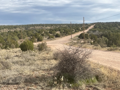 Seller Finance on Small Acreage for Sale in Seligman AZ - image 3
