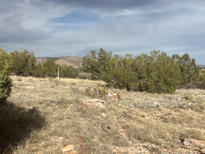 Seller Finance on Small Acreage for Sale in Seligman AZ - image 2