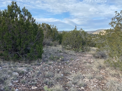 Seller Finance on Small Acreage for Sale in Seligman AZ - image 1