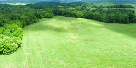 55 Acres Greensburg Ky - image 14