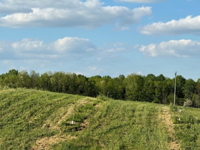 55 Acres Greensburg Ky - image 5