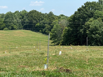 55 Acres Greensburg Ky - image 37