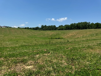 55 Acres Greensburg Ky - image 32