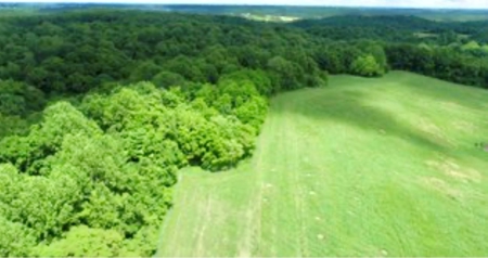 55 Acres Greensburg Ky - image 18