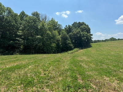 55 Acres Greensburg Ky - image 34