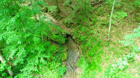 55 Acres Greensburg Ky - image 17