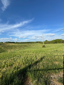 55 Acres Greensburg Ky - image 1