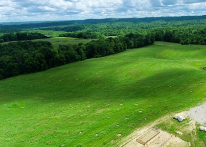 55 Acres Greensburg Ky - image 13