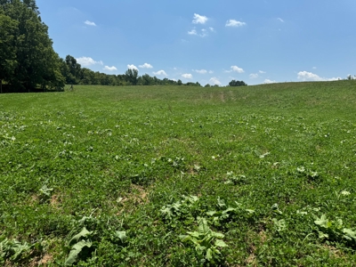 55 Acres Greensburg Ky - image 29