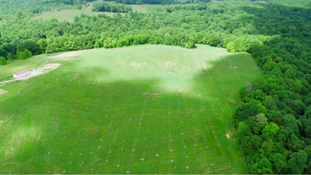 55 Acres Greensburg Ky - image 16