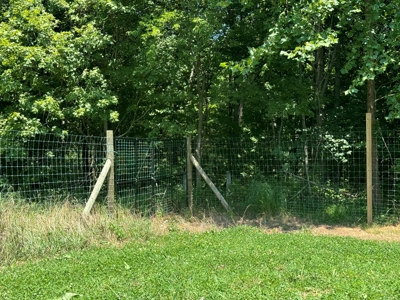 55 Acres Greensburg Ky - image 30