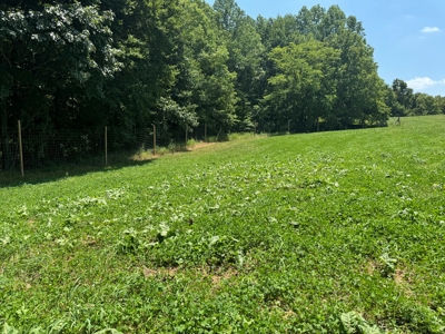 55 Acres Greensburg Ky - image 31