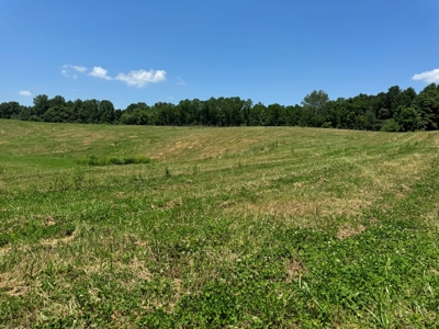 55 Acres Greensburg Ky - image 33