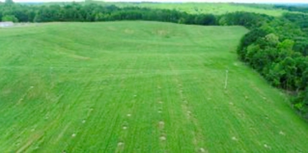 55 Acres Greensburg Ky - image 20