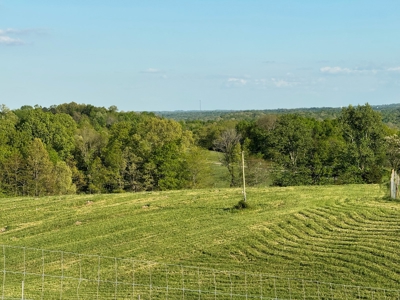 55 Acres Greensburg Ky - image 8