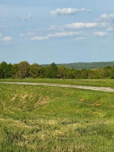 55 Acres Greensburg Ky - image 7