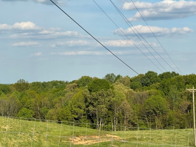 55 Acres Greensburg Ky - image 9