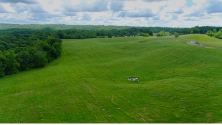 55 Acres Greensburg Ky - image 11