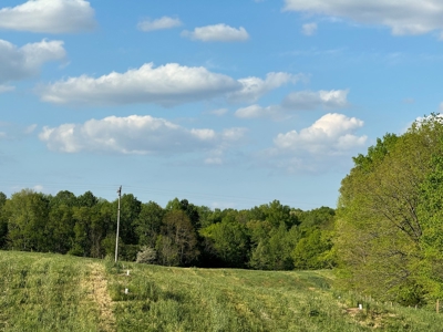 55 Acres Greensburg Ky - image 4