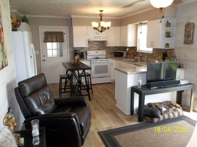 Updated Home in Rogersville, Tennessee - image 6