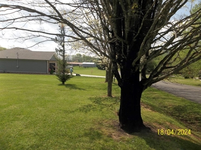 Updated Home in Rogersville, Tennessee - image 27