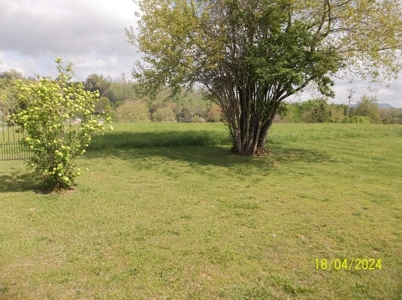 Updated Home in Rogersville, Tennessee - image 29
