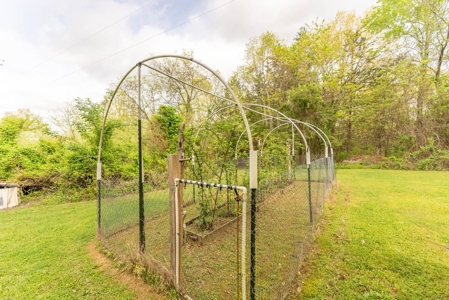 Country Home for sale in Alton Missouri - image 5
