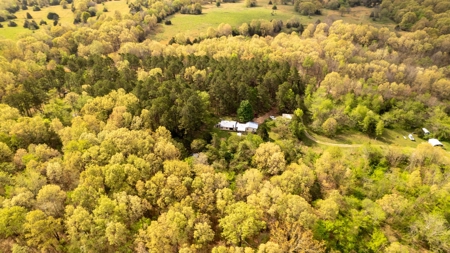 Country Home for sale in Alton Missouri - image 28