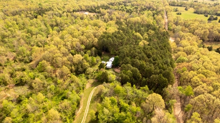 Country Home for sale in Alton Missouri - image 26