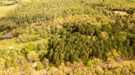 Country Home for sale in Alton Missouri - image 25