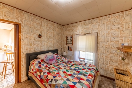 Country Home for sale in Alton Missouri - image 21